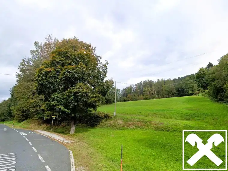 Wiese und Wald Nähe Ludmannsdorf