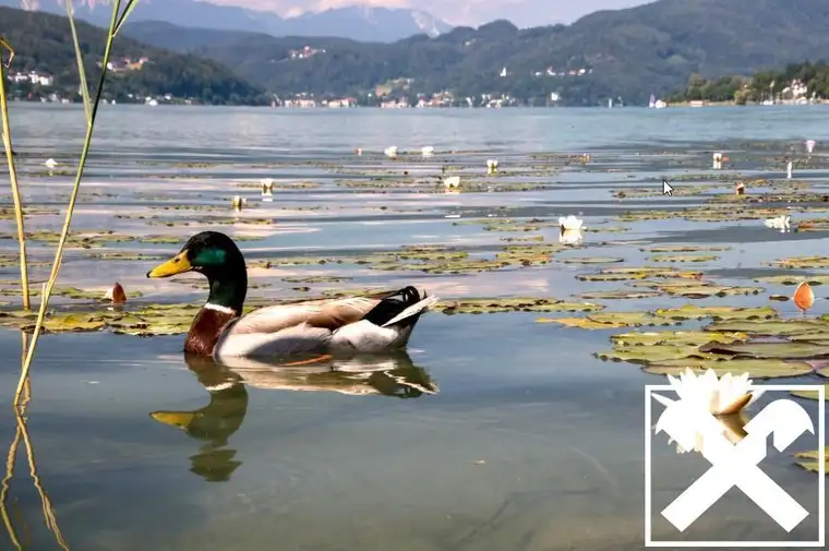 Preisreduktion! Ebenes Grundstück in Pörtschach am Wörthersee