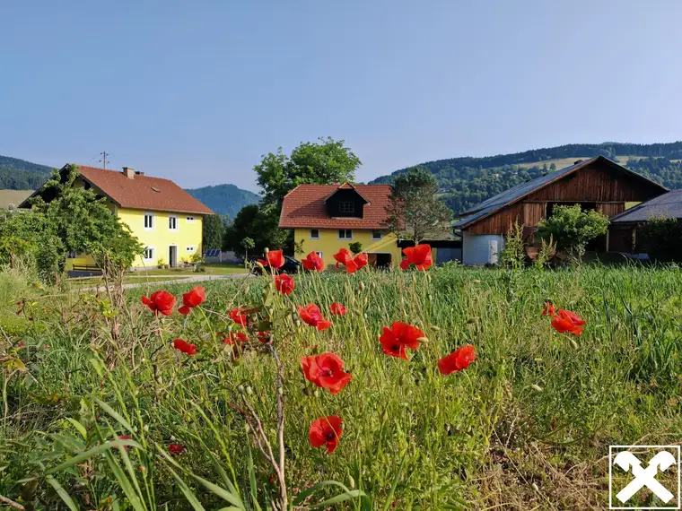Kleinlandwirtschaft in Feldkirchen: Idyllisches Landleben nahe der Stadt