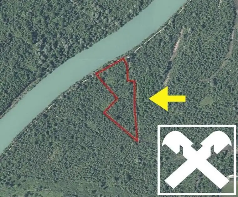 Die Natur ruft! Ebene Waldflächen an der Drau und dem Drauradweg