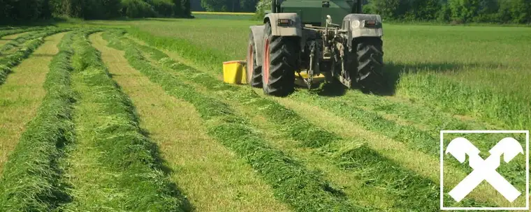 Kleine Landwirtschaft mit renoviertem Wohnhaus und Nebengebäuden