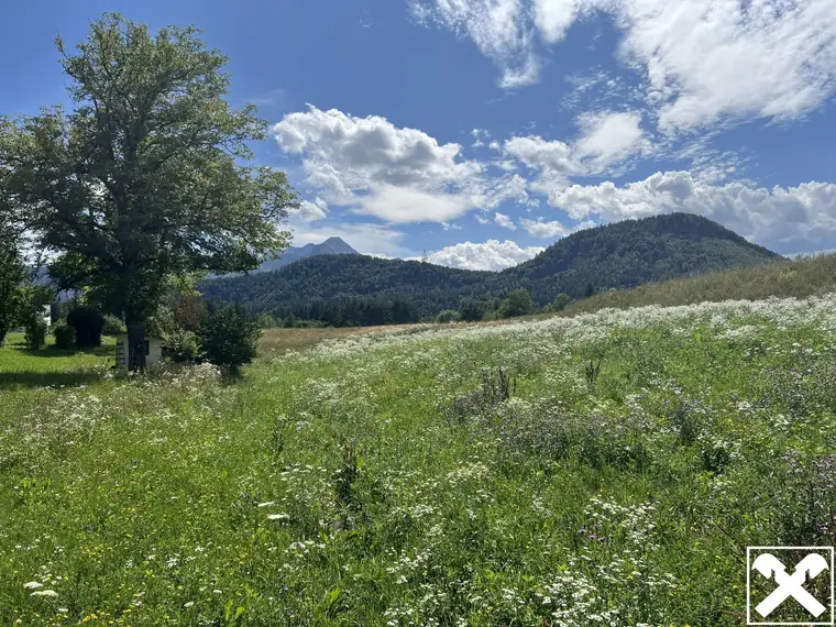Ruhiges Idyll am Waldrand