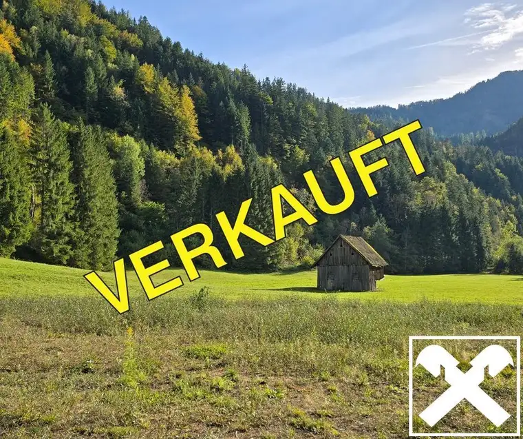 Grundstücke mit Zukunft – vielseitig nutzbare Wald- und Wiesenflächen in idyllischer Lage von Bad Eisenkappel