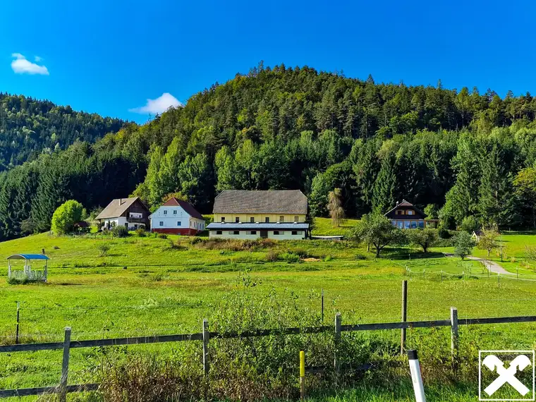 Ein Pferdeparadies der Extraklasse! Arrondierte Landwirtschaft mit Reitanlage und hohem Wohnkomfort
