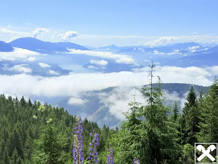 Waldgrundstück in Trebesing