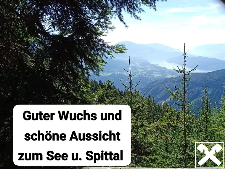 Waldgrundstück in Trebesing