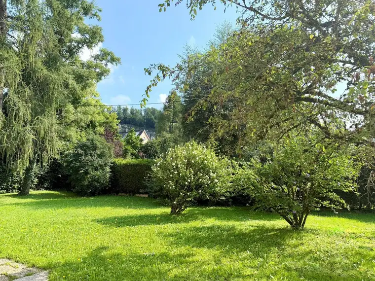 Anif - Charmante 3 Zimmer Wohnung mit Balkon