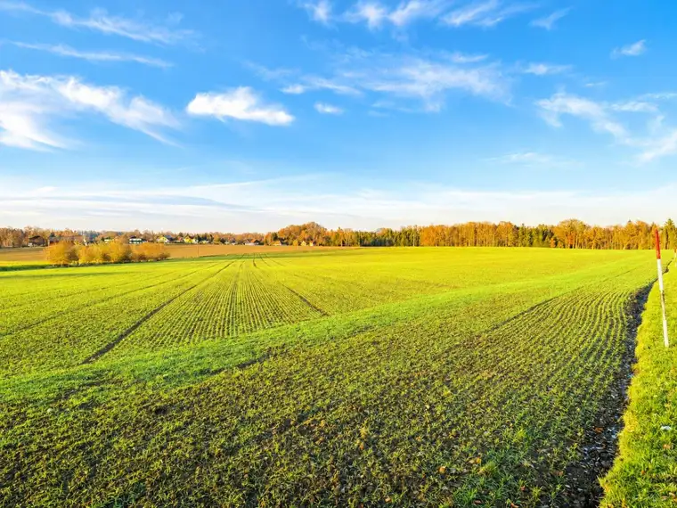 Gilgenberg am Weilhart - Außergewöhnlich attraktive landwirtschaftliche Nutzfläche