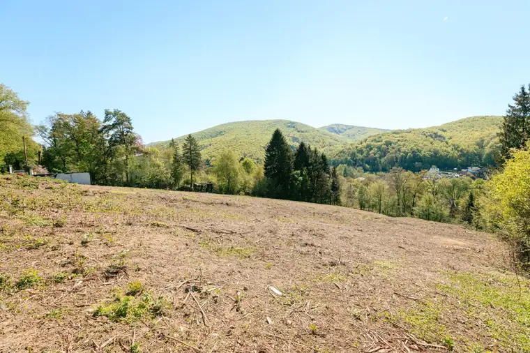 BAUGRUND MIT PERSPEKTIVE in sonniger Südhanglage – exklusives Grundstücksensemble
