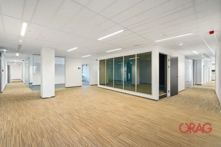 Sebastian Matznetter, ÖRAG Immobilien Vermittlung GmbH