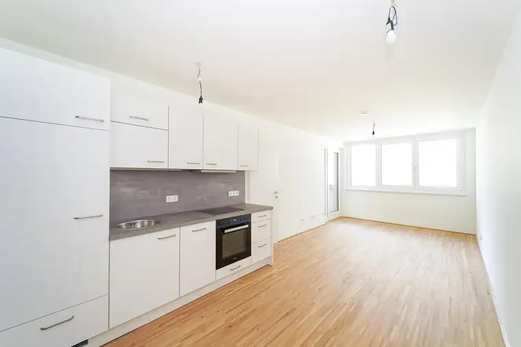 Erstbezug - 128 erstklassig ausgestattete 2- bis 4-Zimmer Wohnungen - zu mieten in 1020 Wien