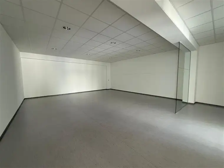 Büro- und Lagerflächen in modernem Gewerbeobjekt zu mieten, 1230 Wien