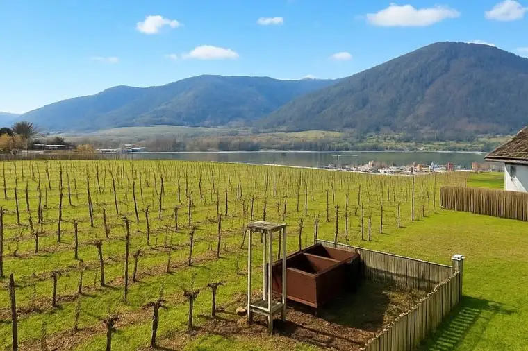 Wohnen in der Wachau: Einfamilienhaus in Ortsrandlage mit Blick ins Donautal - zu kaufen in 3610 Weißenkirchen