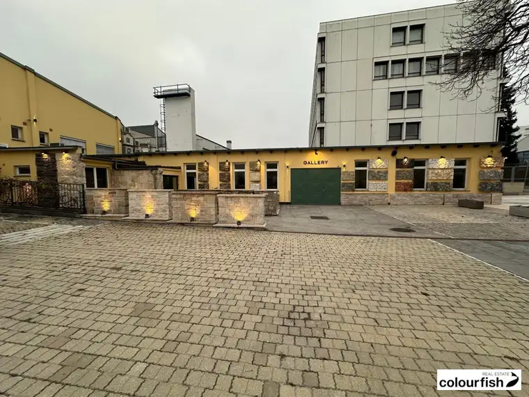 Schauraum/Gallery in Atzgersdorf