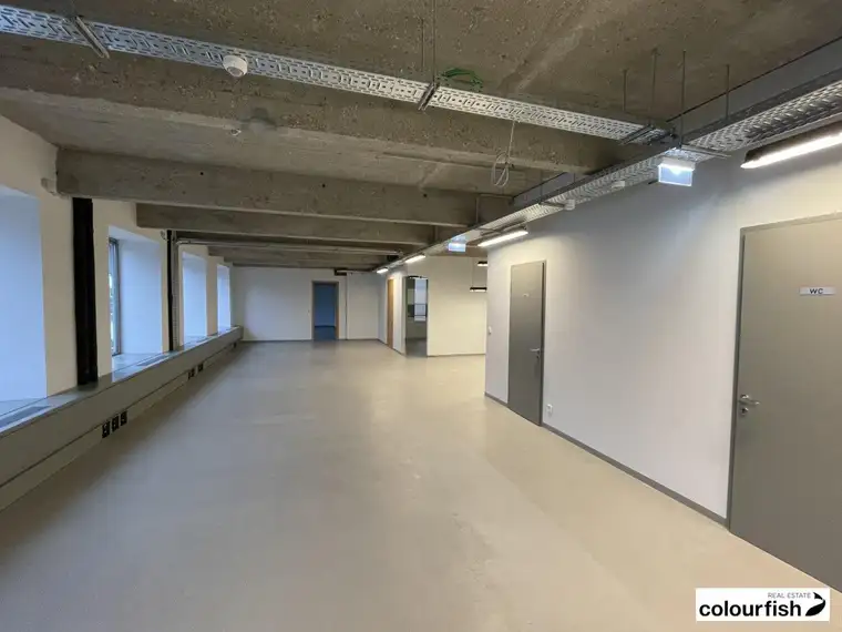Loftbüro in der Fabrikatur
