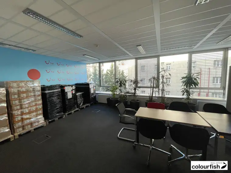 Repräsentative Bürofläche im Bürokomplex „Skyline“ mit Weitblick über Wien