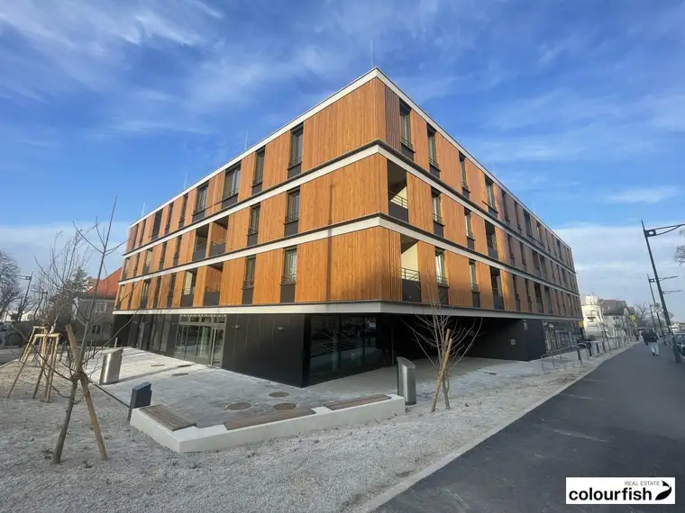 JUWEL IM GRÜNEN - moderne Büroflächen nahe HTL Mödling zu mieten