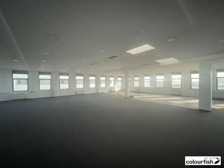 Attraktives Büro mit Dachterrasse in Inzersdorf