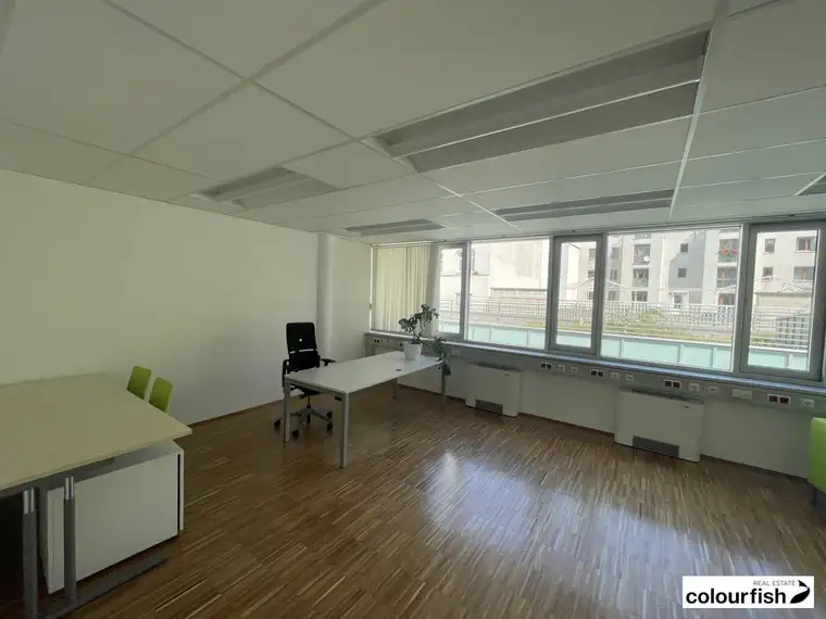 Modernes Kleinbüro in Döbling