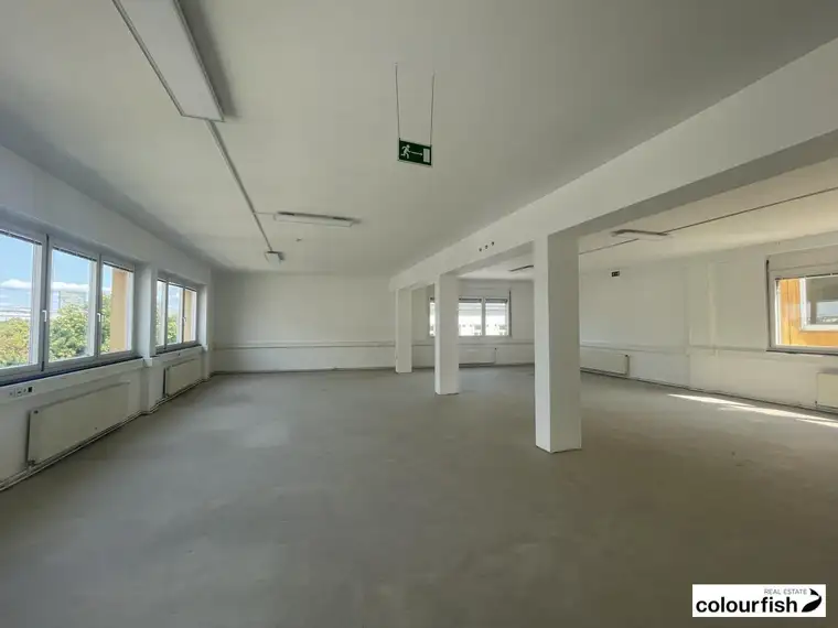 Loft - Bürofläche im IP.ONE