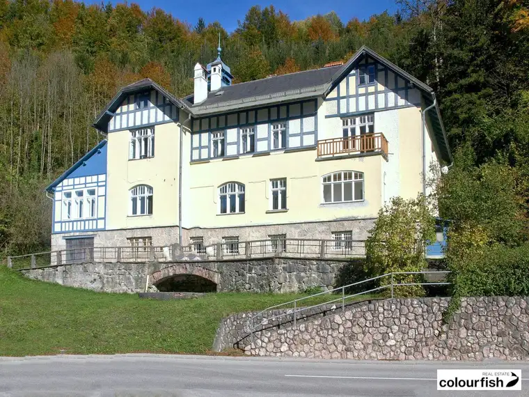 Original erhaltenes villenartiges Jugendstil-Kurhaus mit großem Potential