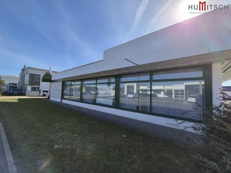 Gewerbe-/Bürofläche samt Lager in Graz-Straßgang