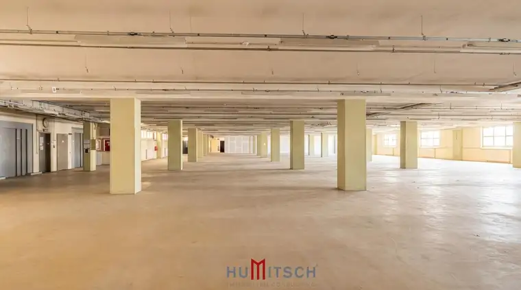 Attraktive Lager-/Hallenflächen in der Triester Straße