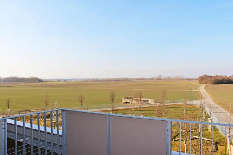 Neubau! Geförderte 3 Zimmerwohnung mit Balkon in Absdorf!