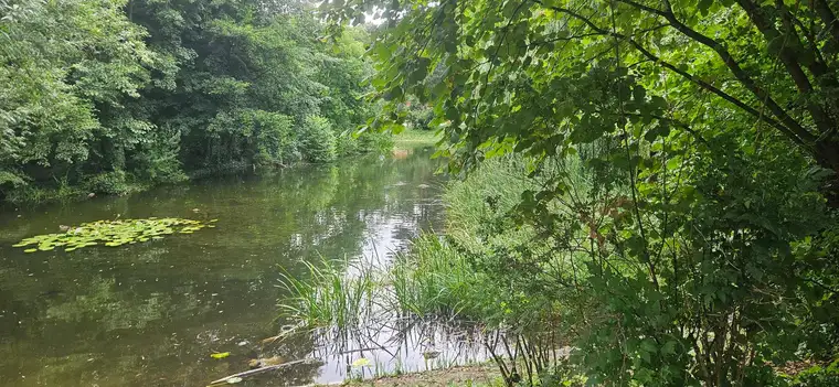 Wohnen direkt am Türkenschanzpark