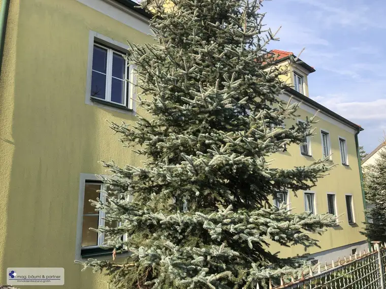 3 geräumige Zimmer, Küche mit Essplatz, Gartennutzung und PKW Stellplatz