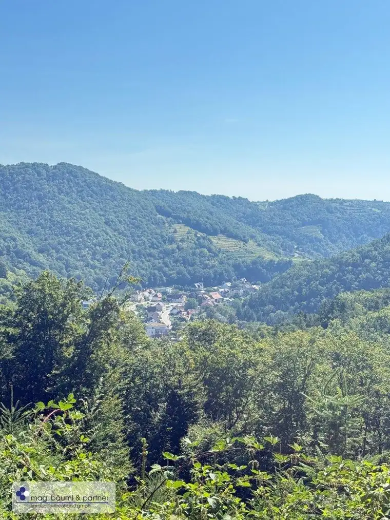 Mischwald mit Zufahrt und Aussicht