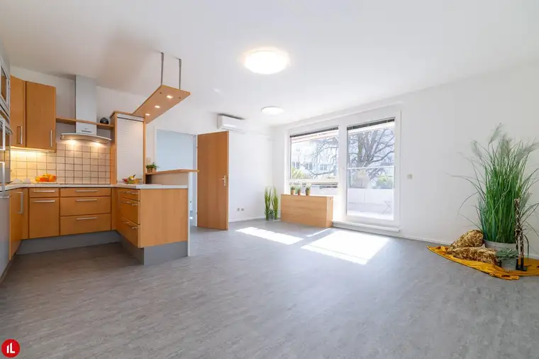 SCHWECHAT | DAS BESTE HAUS AM HAUPTPLATZ | 50m² TERRASSENTRAUM | DIREKT BEIM SCHLOSSPARK