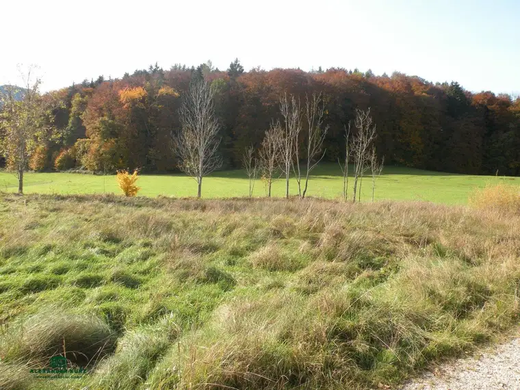 Grünland-Grundstück in Großgmain