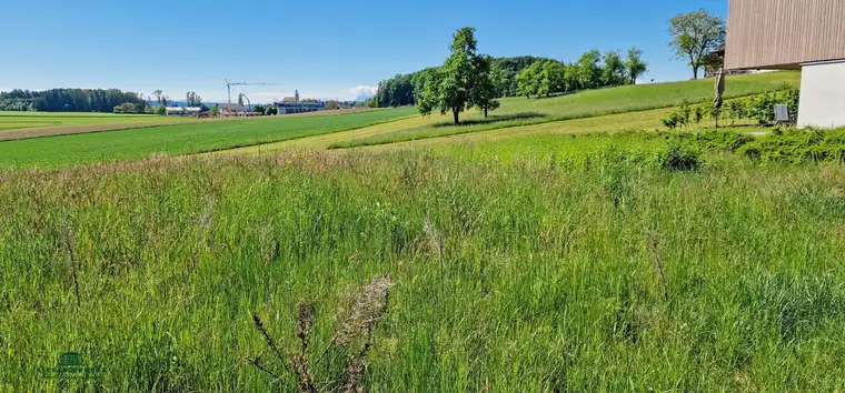 Sonniger Baugrund am Grünland, 30 km nördlich von Salzburg