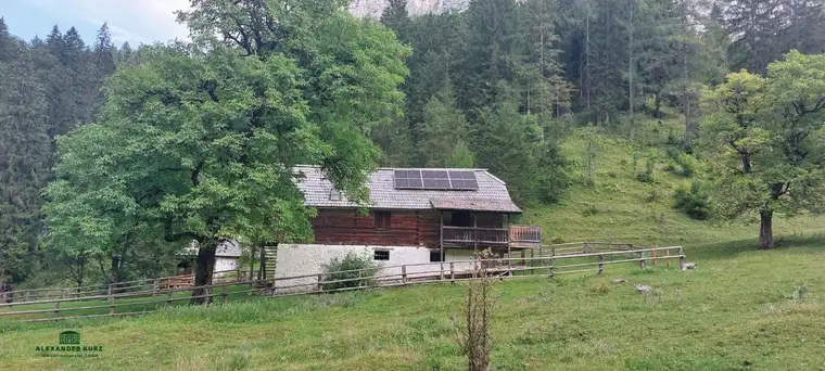Alm über 100 ha im Salzburger Land
