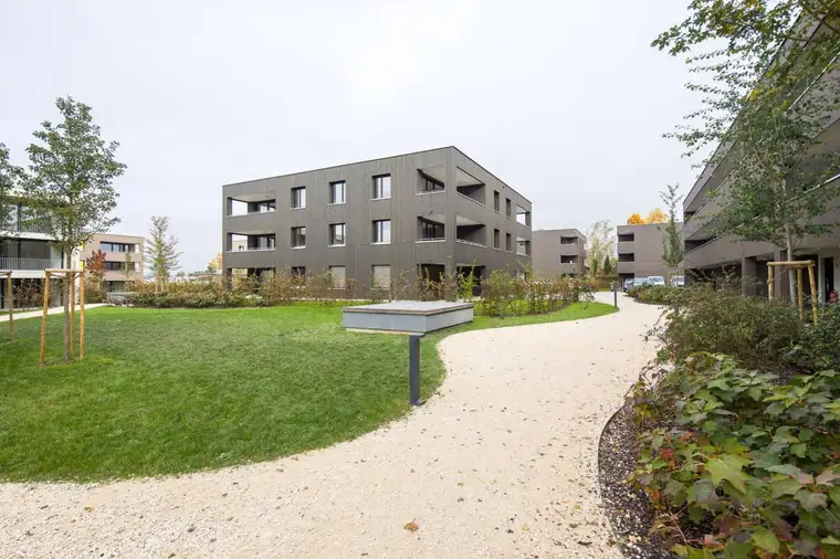 Günther Gassner, Gassner Immobilien