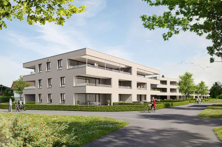 Günther Gassner, Gassner Immobilien