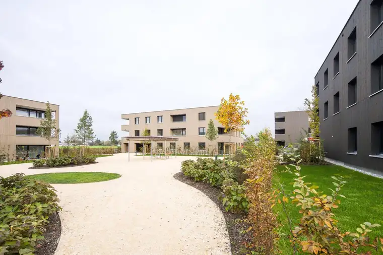 Günther Gassner, Gassner Immobilien