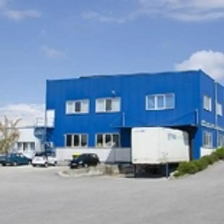 Bürogebäude und Hallen B Widmung in Eggendorf AKTUELL eine Halle mit 1176 m2 frei mit 2 LKW Rampen frei