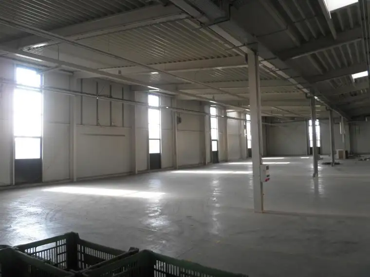 Produktions oder Lagerhalle mit Büro direkt an der B 1 SOFORT VERFÜGBAR