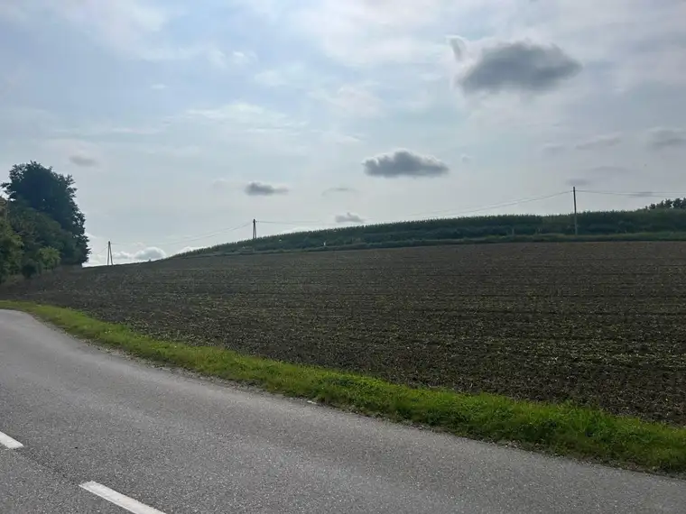 Gewerbegrundstück mit MB Widmung direkt an die Hauptstrasse B 137 angrenzend