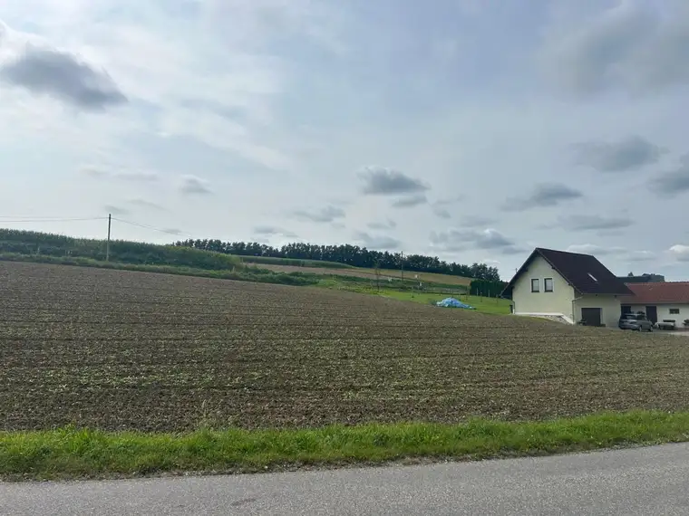 Gewerbegrundstück mit MB Widmung direkt an die Hauptstrasse B 137 angrenzend