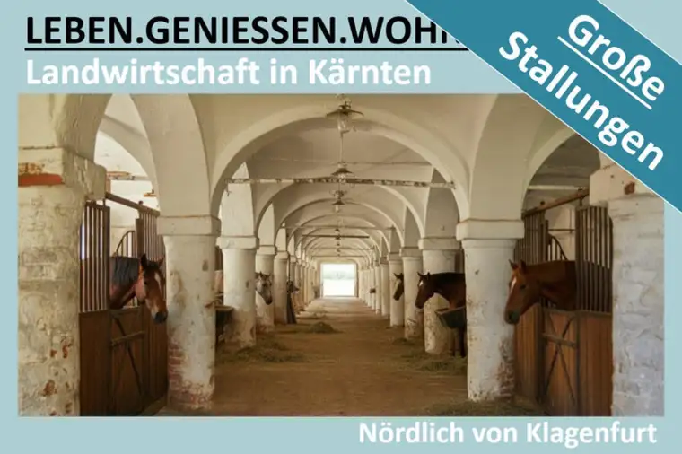LANDWIRTSCHAFT IN KÄRNTEN MIT GROSSEN STALLUNGEN