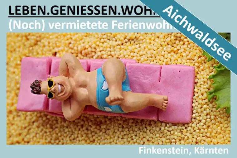 (NOCH) VERMIETETE (FERIEN) WOHNUNG