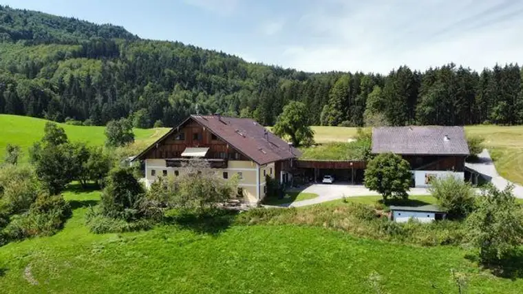 ID 726 Bauernhaus über dem Attersee mit Badeplatz