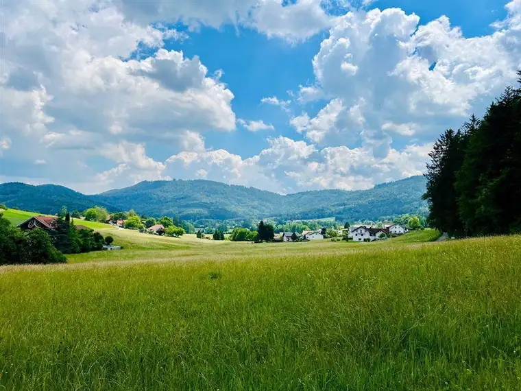 Baugrundstück nähe Attersee NEUER KAUFPREIS