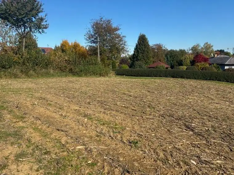 Schönes Baugrundstück in Aurach am Hongar, wenige KM vom Attersee.