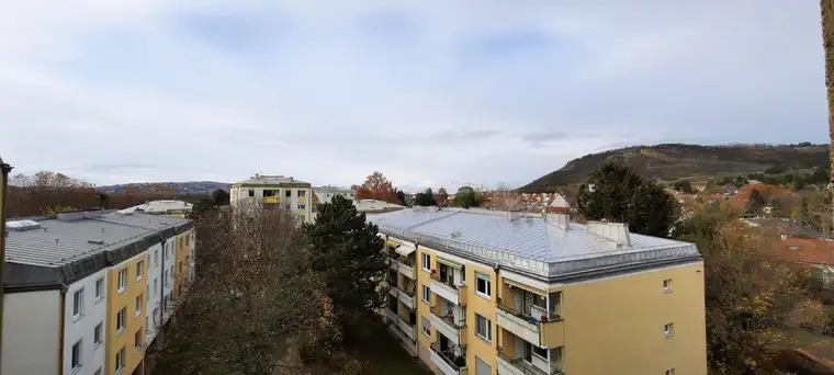 360°-Tour // Ruhige und helle 3 Zimmer-Wohnung mit Freistellplatz