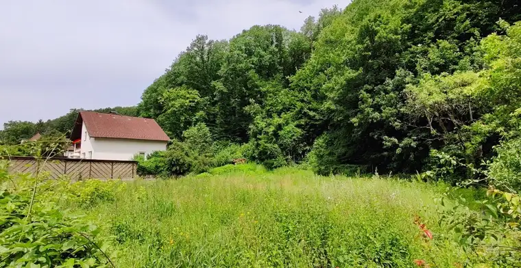 Villenbaugrund (aufgeschlossen!) mit 962 m² in Weidlinger Ruhelage