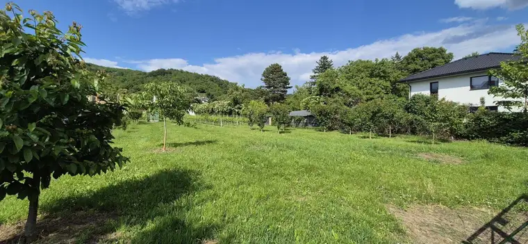 Villenbaugrund (1.335m²) in ruhiger Langenzersdorfer Siedlungslage